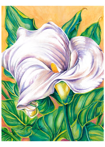 ANITAS CALLA GICLEE PRINT